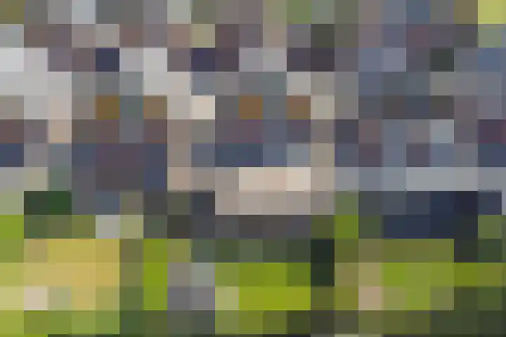 Spiekergoed 5 Maasbree thumbnail 38