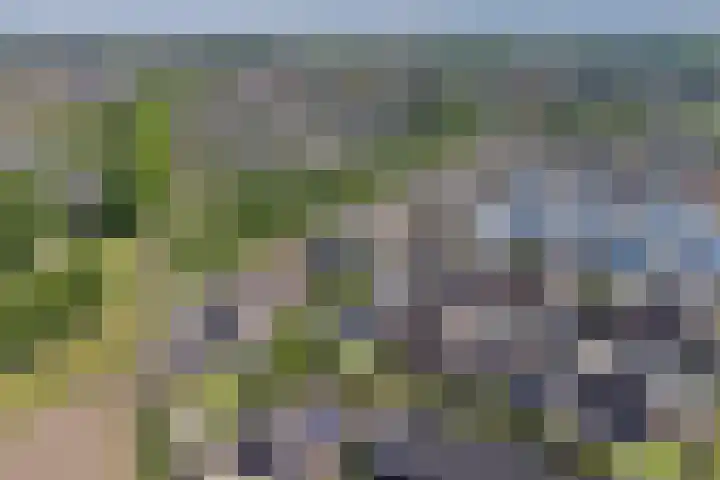 Spiekergoed 5 Maasbree thumbnail 39