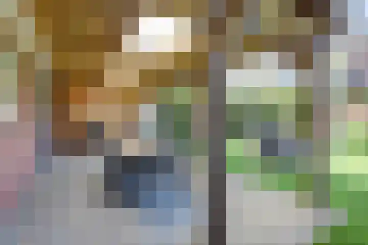 Spiekergoed 5 Maasbree thumbnail 4