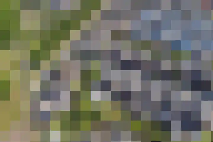 Spiekergoed 5 Maasbree thumbnail 40