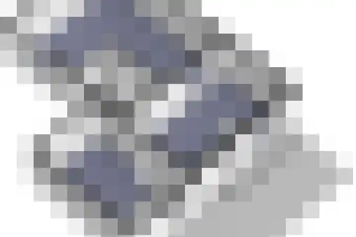 Spiekergoed 5 Maasbree thumbnail 42