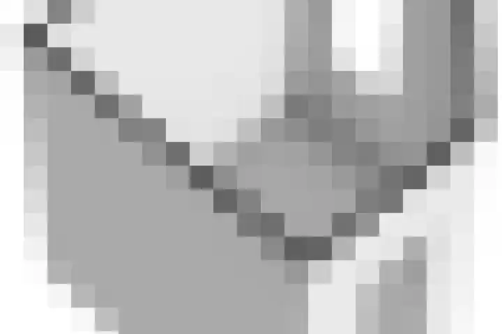 Spiekergoed 5 Maasbree thumbnail 48
