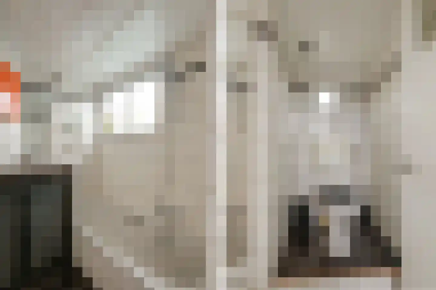 Spiekeroog 100 Zaandam thumbnail 21