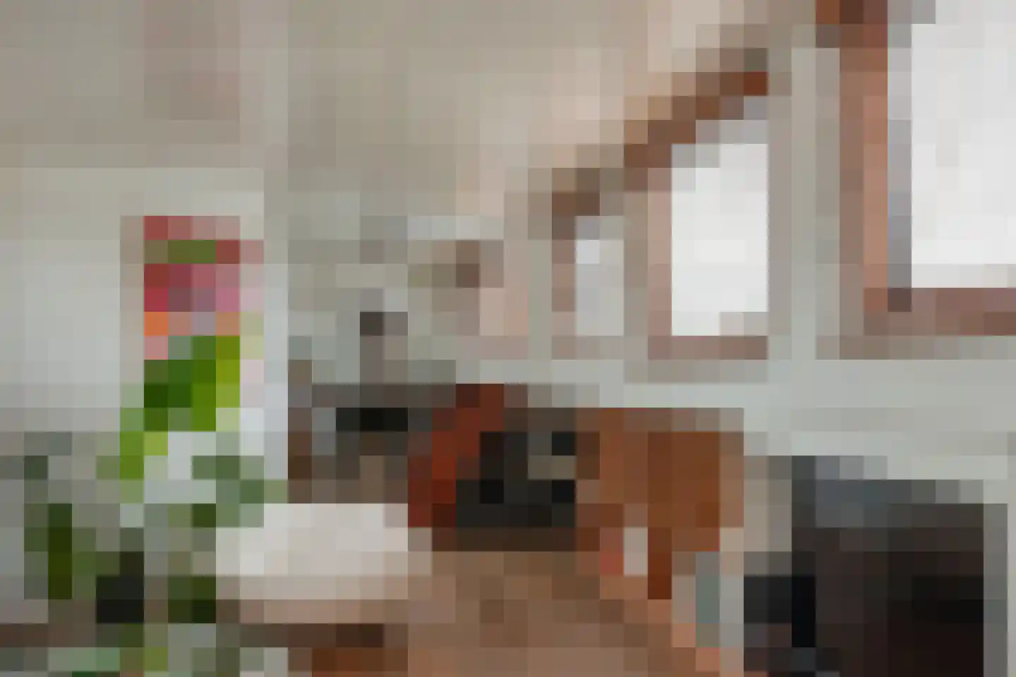 Spiekeroog 100 Zaandam thumbnail 7