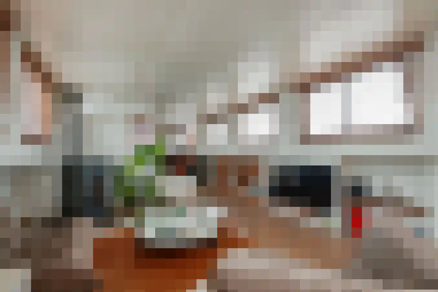 Spiekeroog 100 Zaandam thumbnail 8