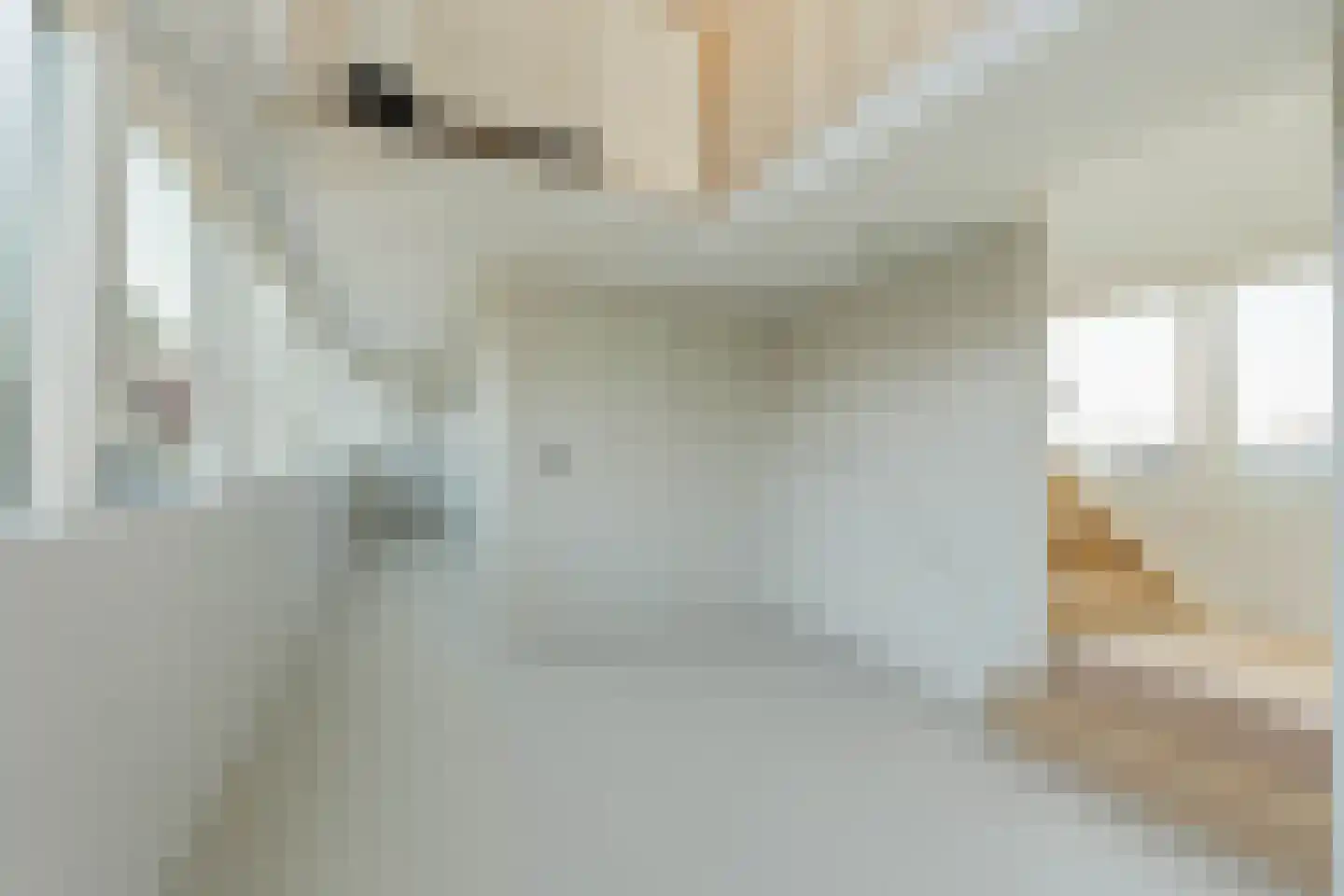 Spiekeroog 64 Zaandam thumbnail 17