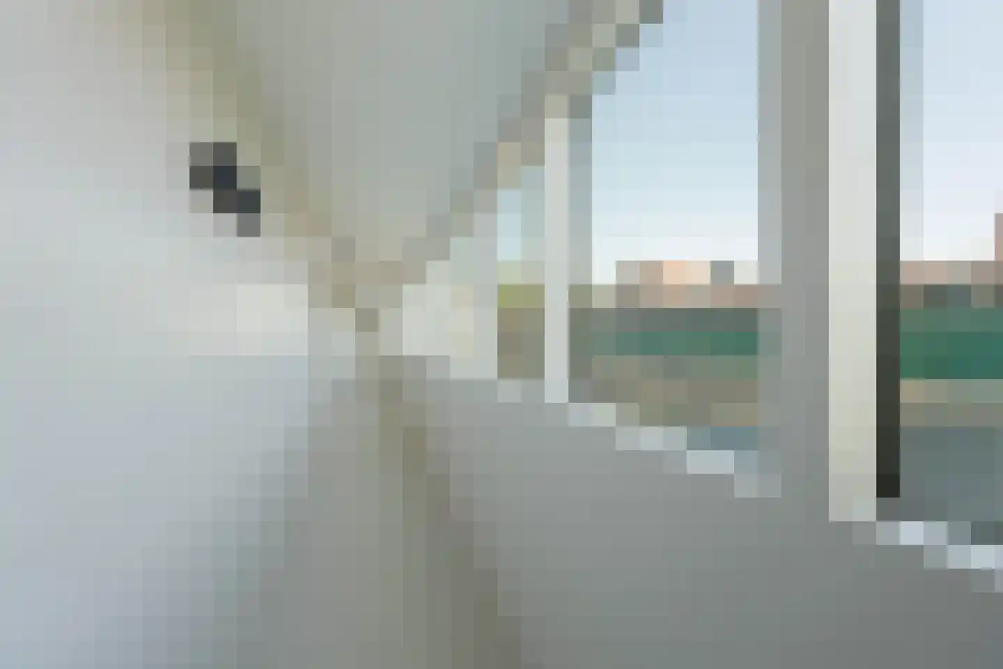 Spiekeroog 64 Zaandam thumbnail 31