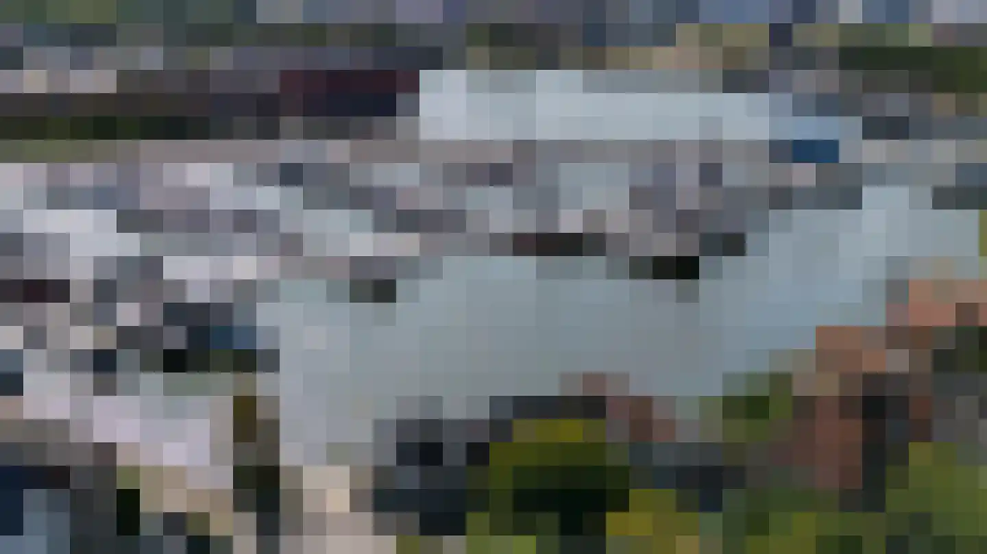 Spiekeroog 64 Zaandam thumbnail 39