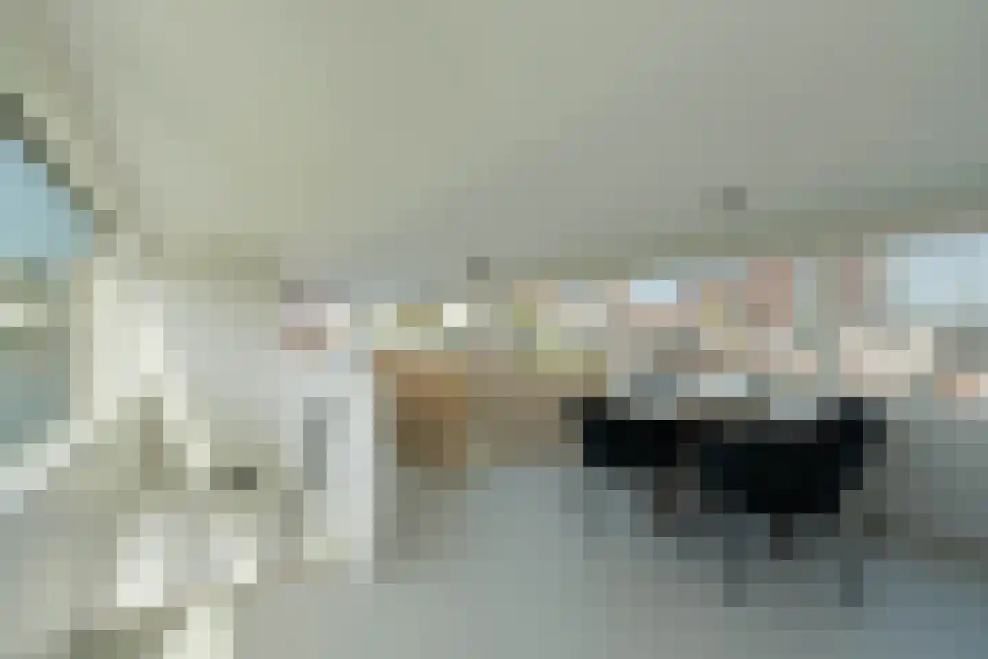 Spiekeroog 64 Zaandam thumbnail 8