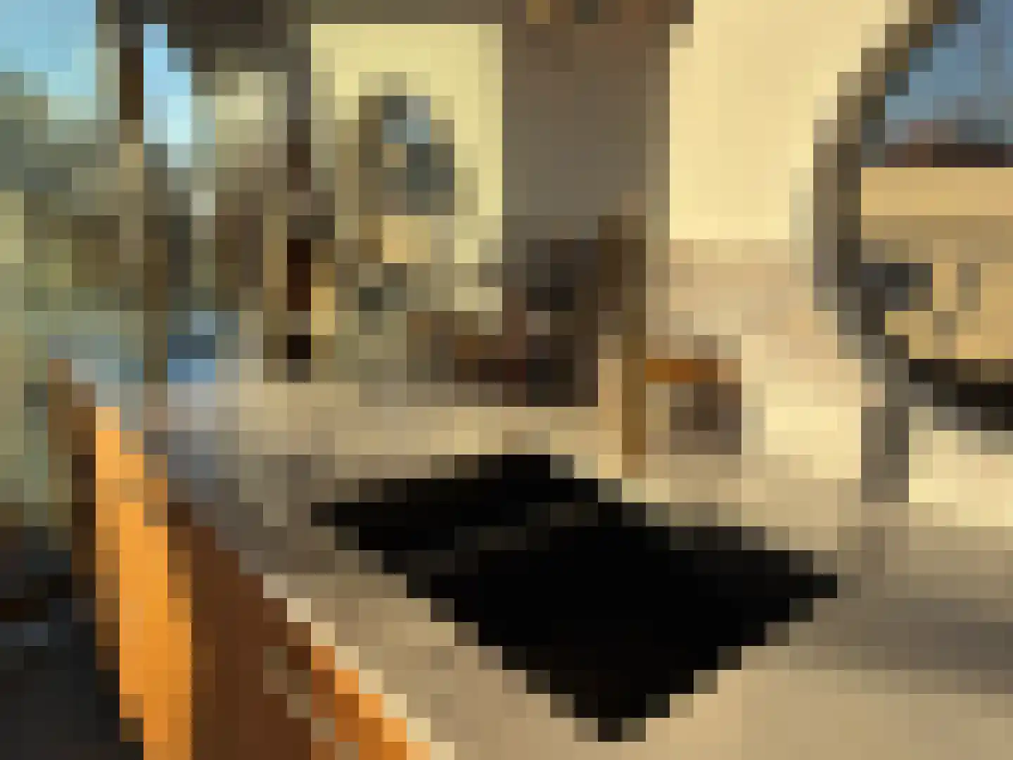 Spiekeroog 68 Zaandam thumbnail 16