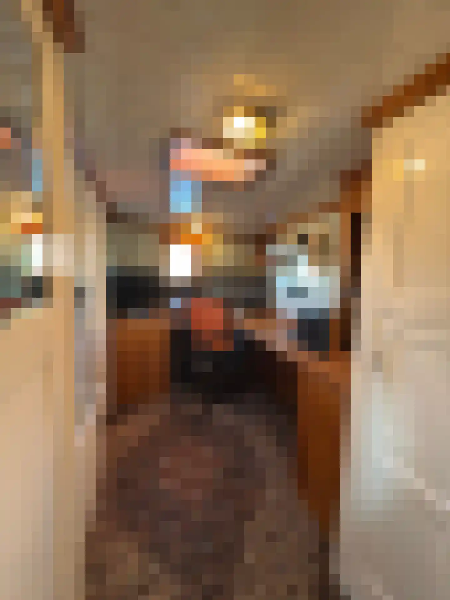 Spiekeroog 68 Zaandam thumbnail 21