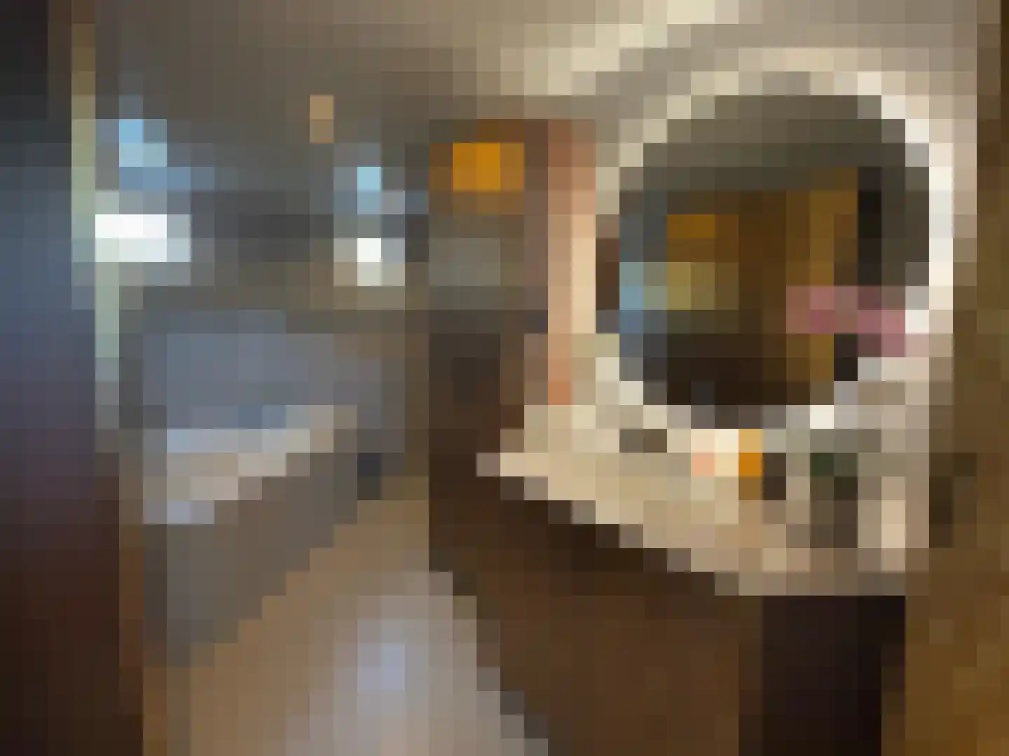 Spiekeroog 68 Zaandam thumbnail 30
