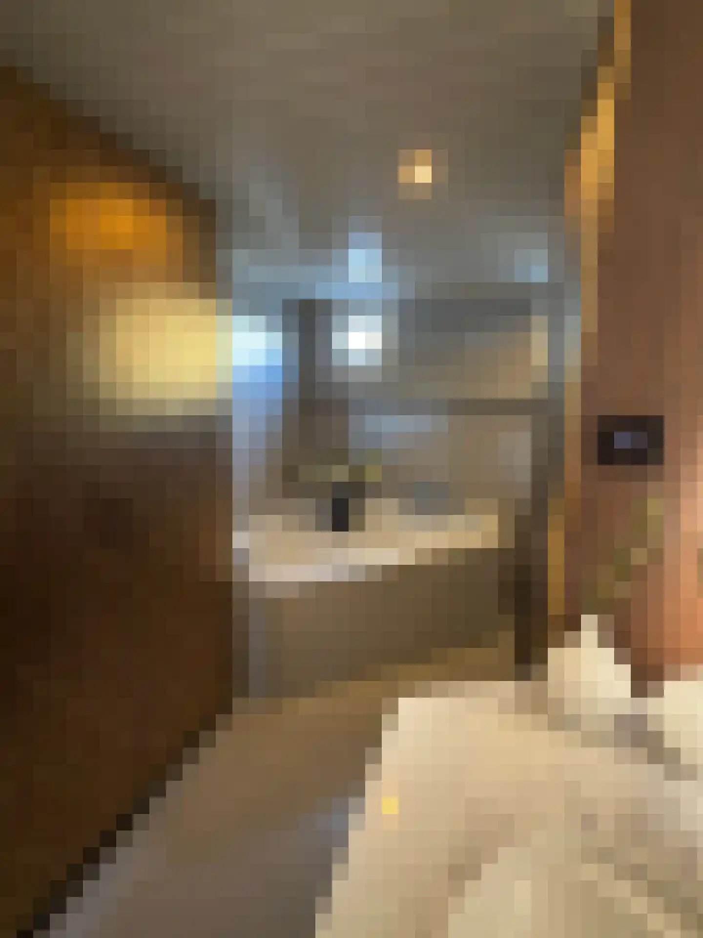 Spiekeroog 68 Zaandam thumbnail 31