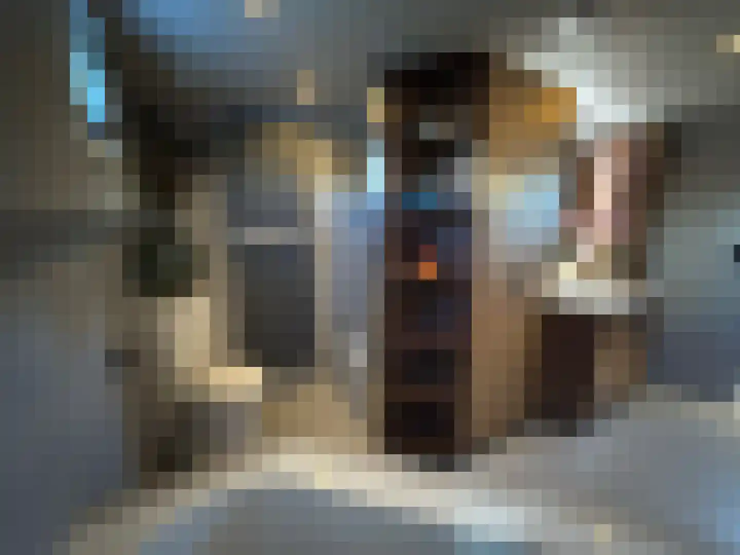 Spiekeroog 68 Zaandam thumbnail 32