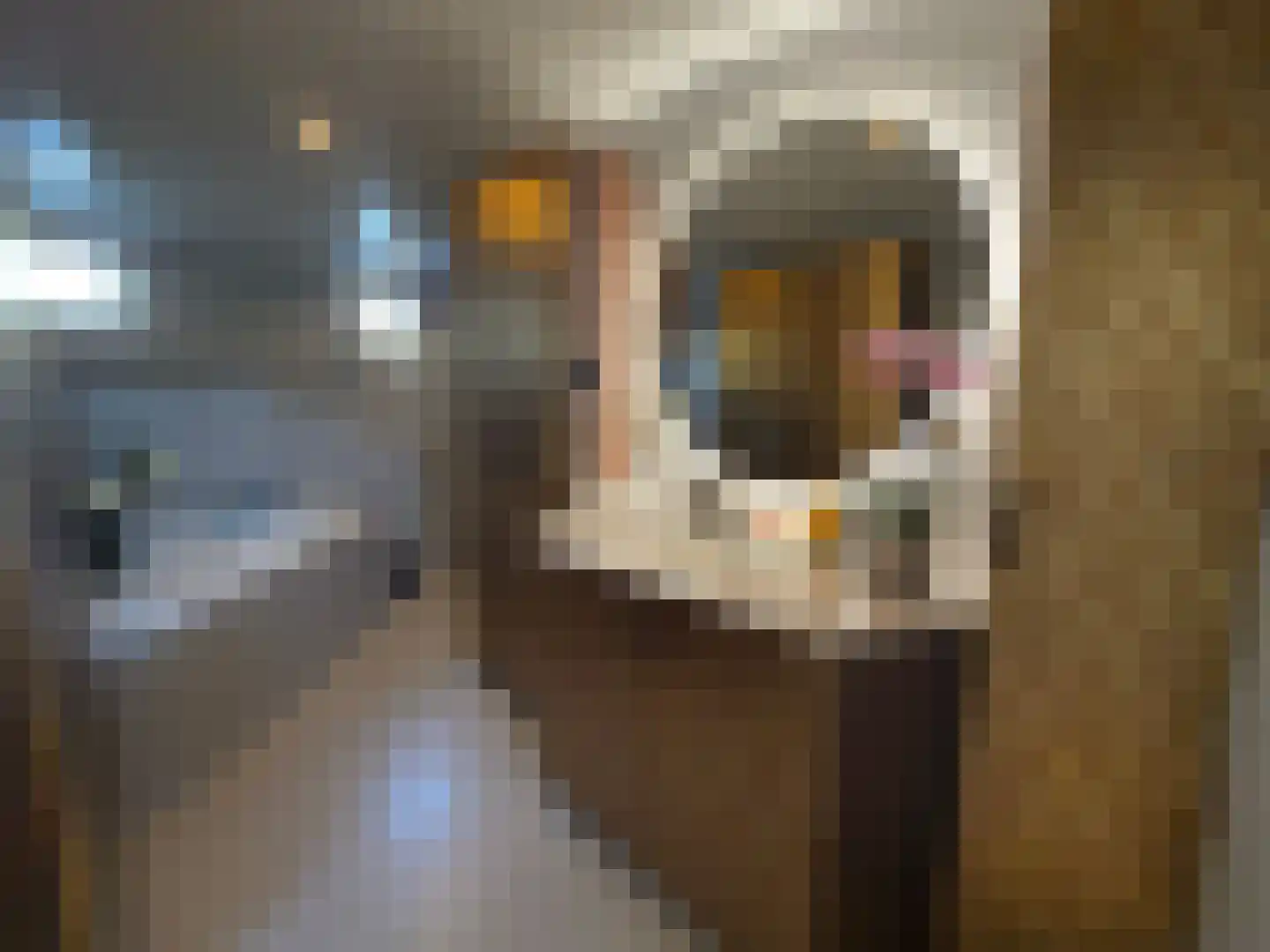 Spiekeroog 68 Zaandam thumbnail 33