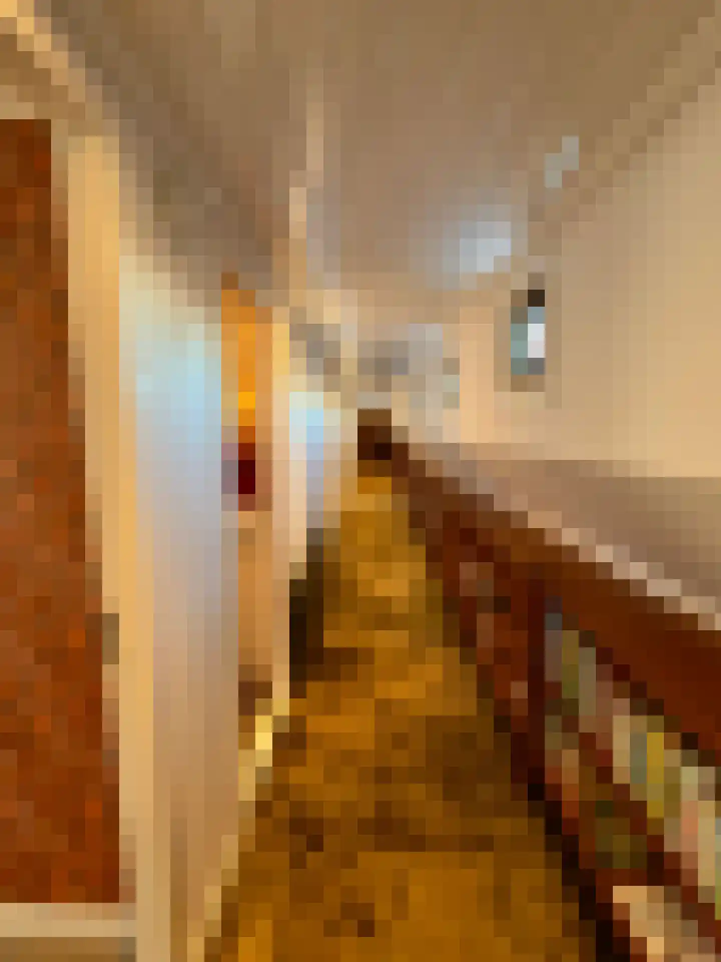 Spiekeroog 68 Zaandam thumbnail 36