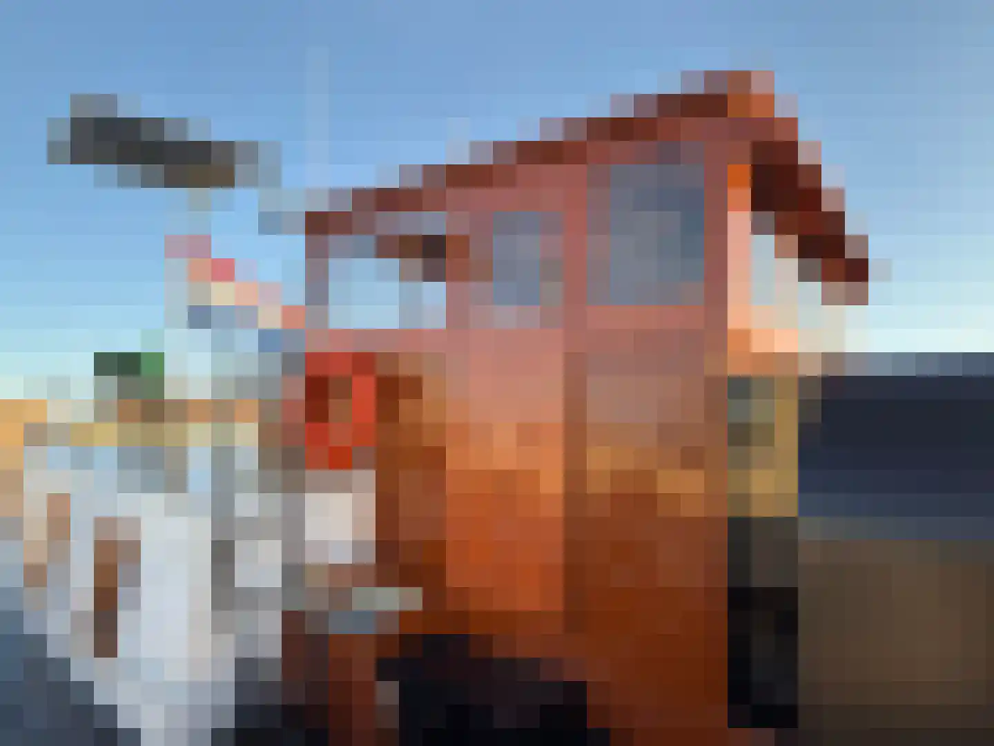 Spiekeroog 68 Zaandam thumbnail 48