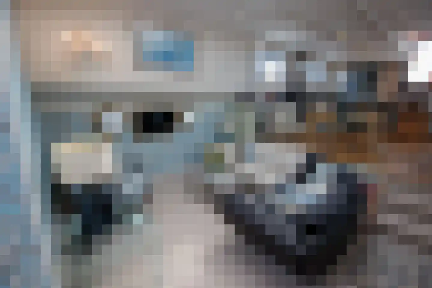 Spiekeroog 80 Zaandam thumbnail 16