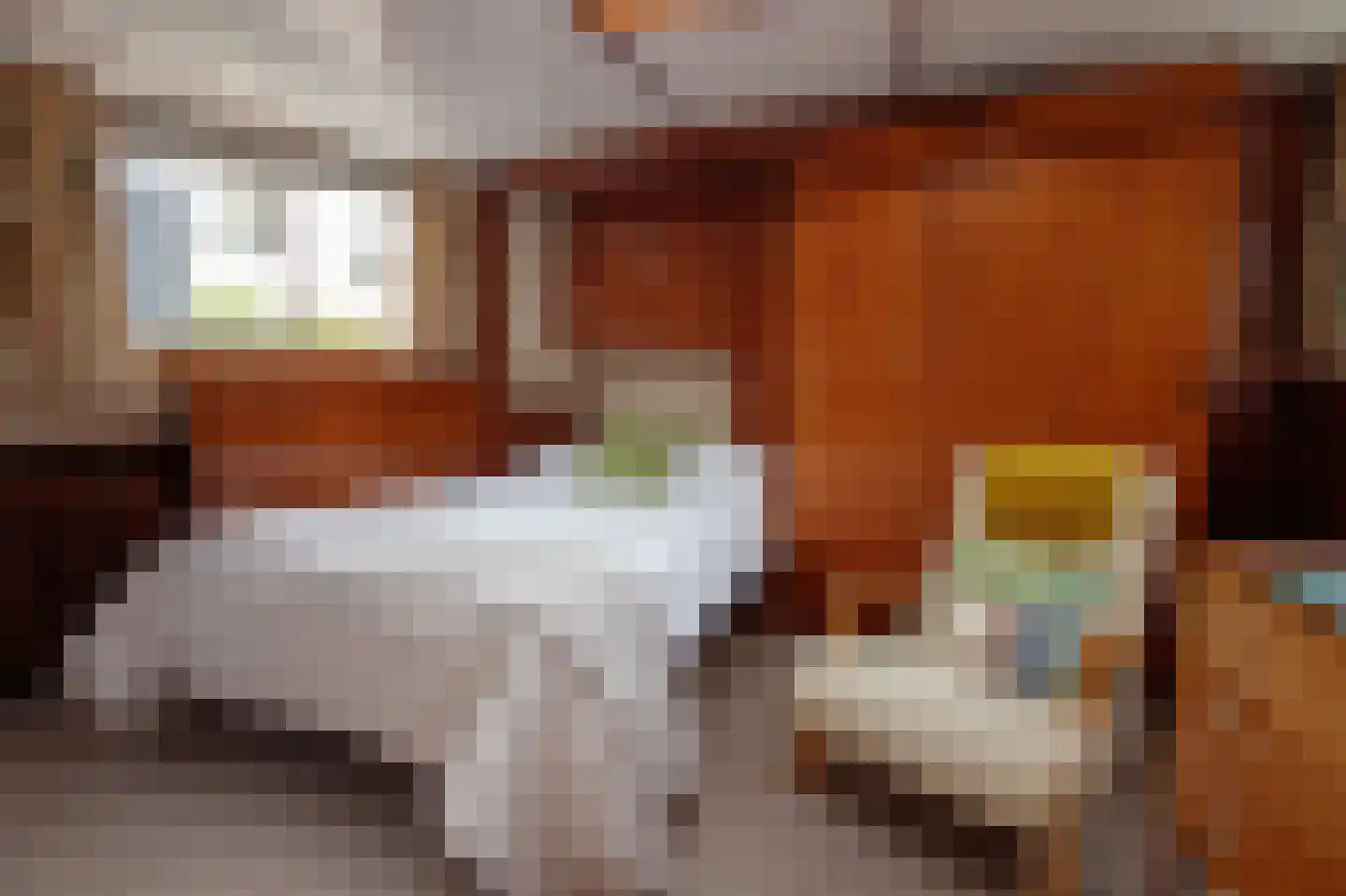 Spiekeroog 80 Zaandam thumbnail 24