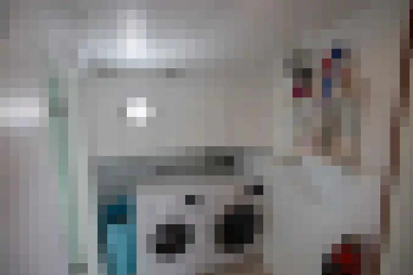 Spiekeroog 80 Zaandam thumbnail 30