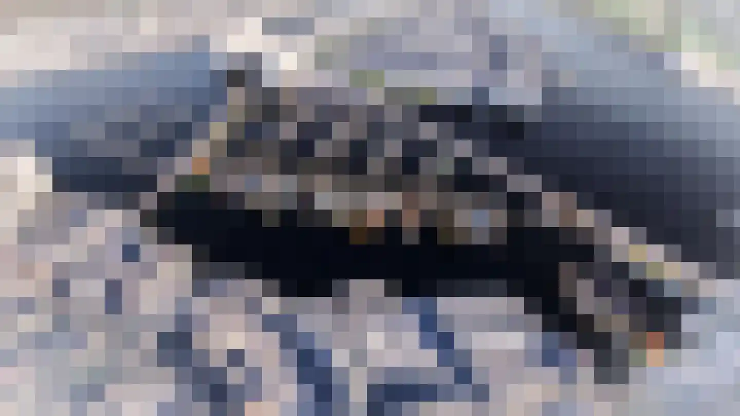 Spiekeroog 80 Zaandam thumbnail 9