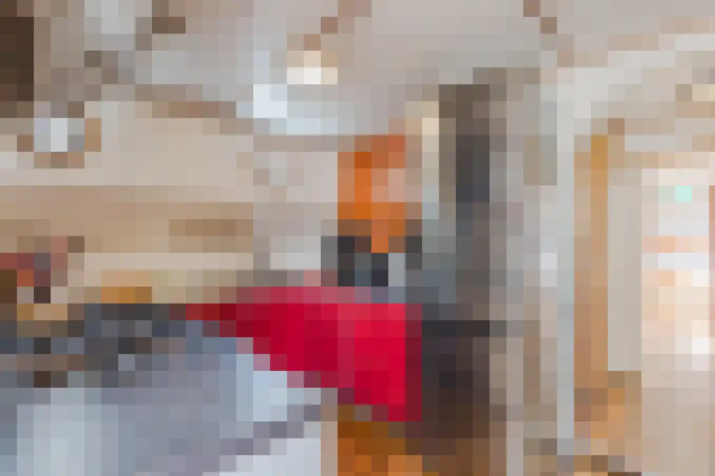 Spiekeroog 88 Zaandam thumbnail 10