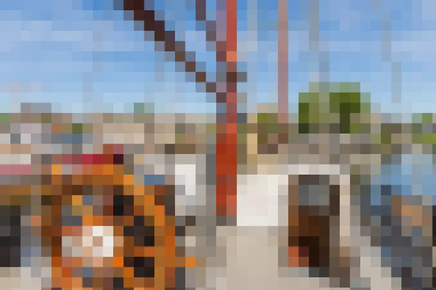Spiekeroog 88 Zaandam thumbnail 25