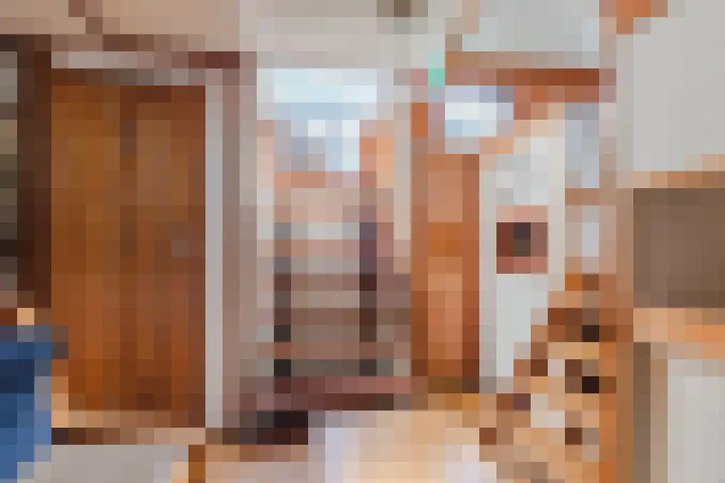Spiekeroog 88 Zaandam thumbnail 5
