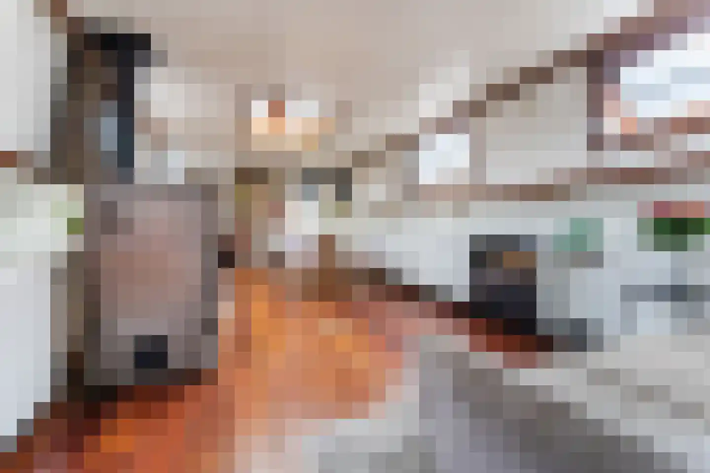 Spiekeroog 92 Zaandam thumbnail 13