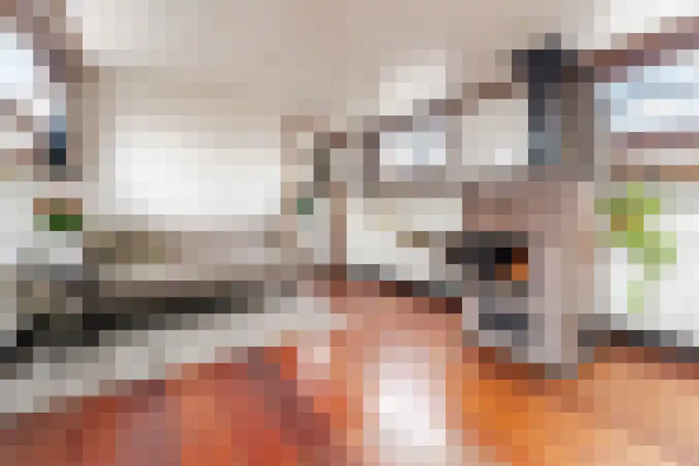 Spiekeroog 92 Zaandam thumbnail 18