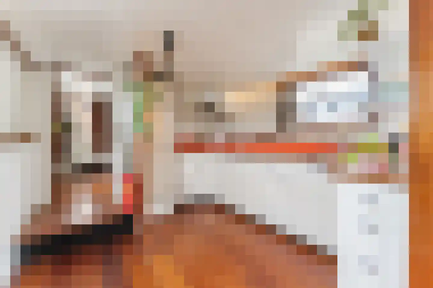Spiekeroog 92 Zaandam thumbnail 19