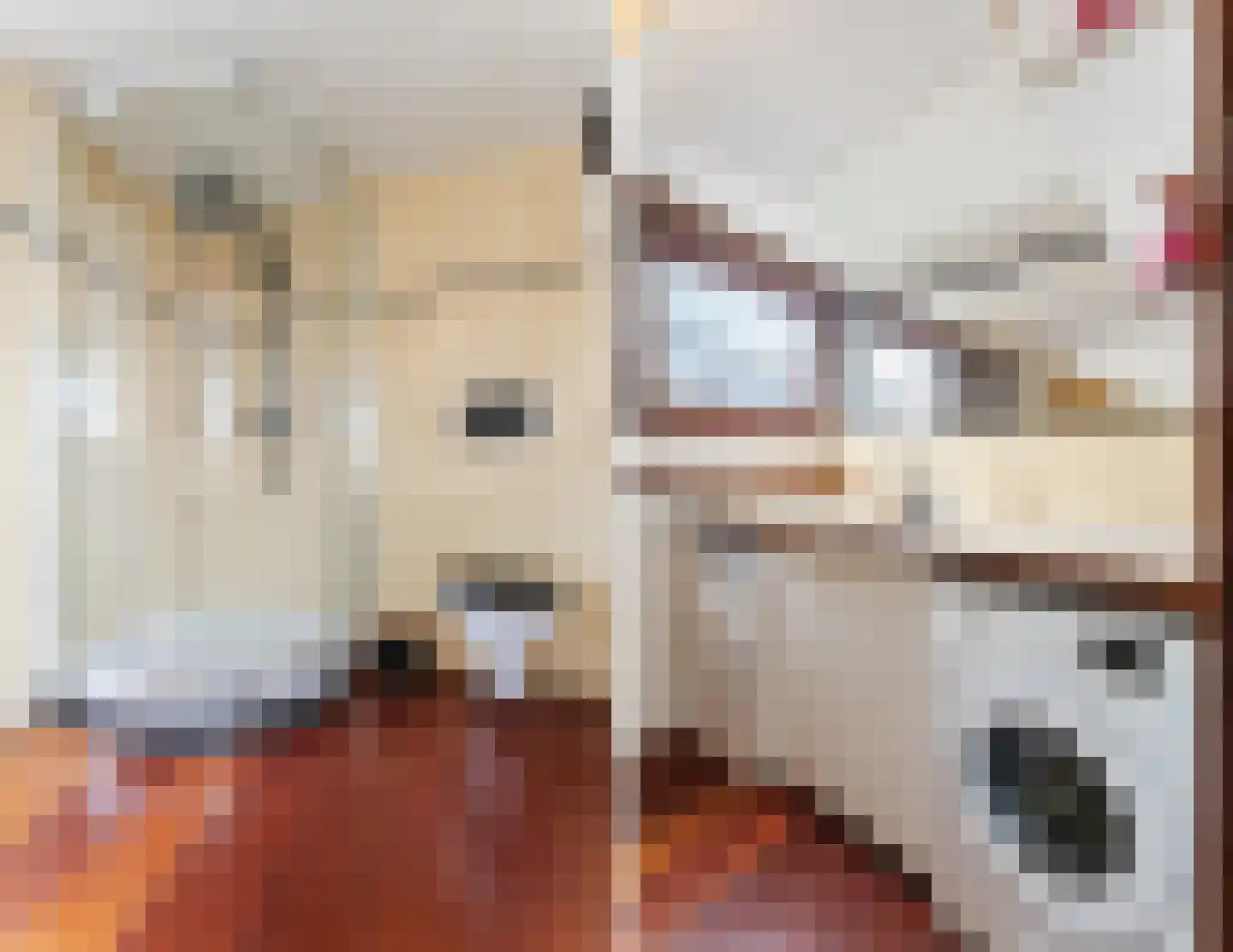 Spiekeroog 92 Zaandam thumbnail 35