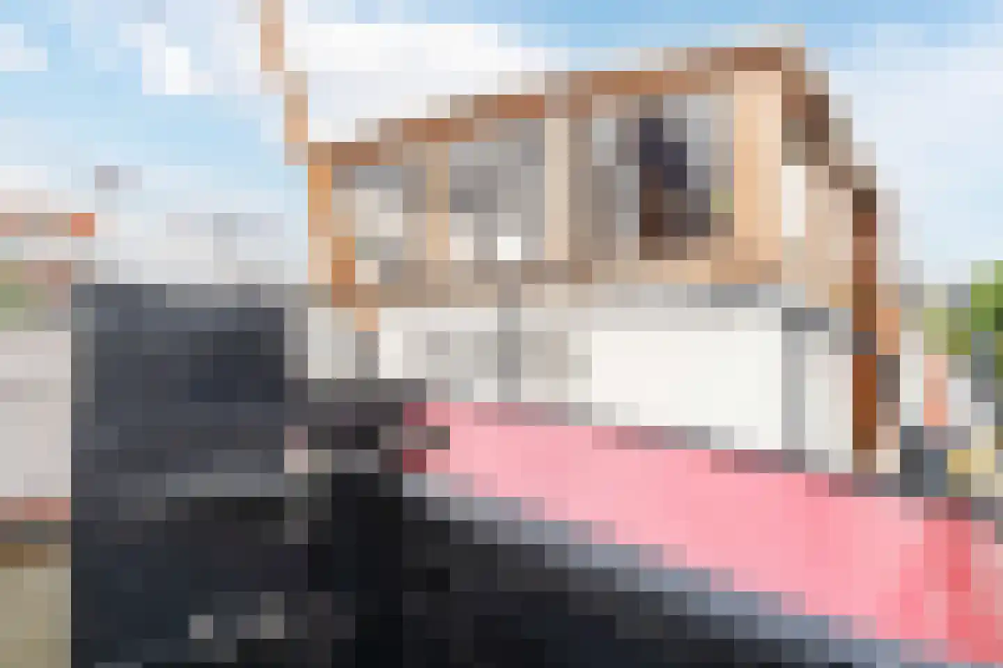 Spiekeroog 92 Zaandam thumbnail 36