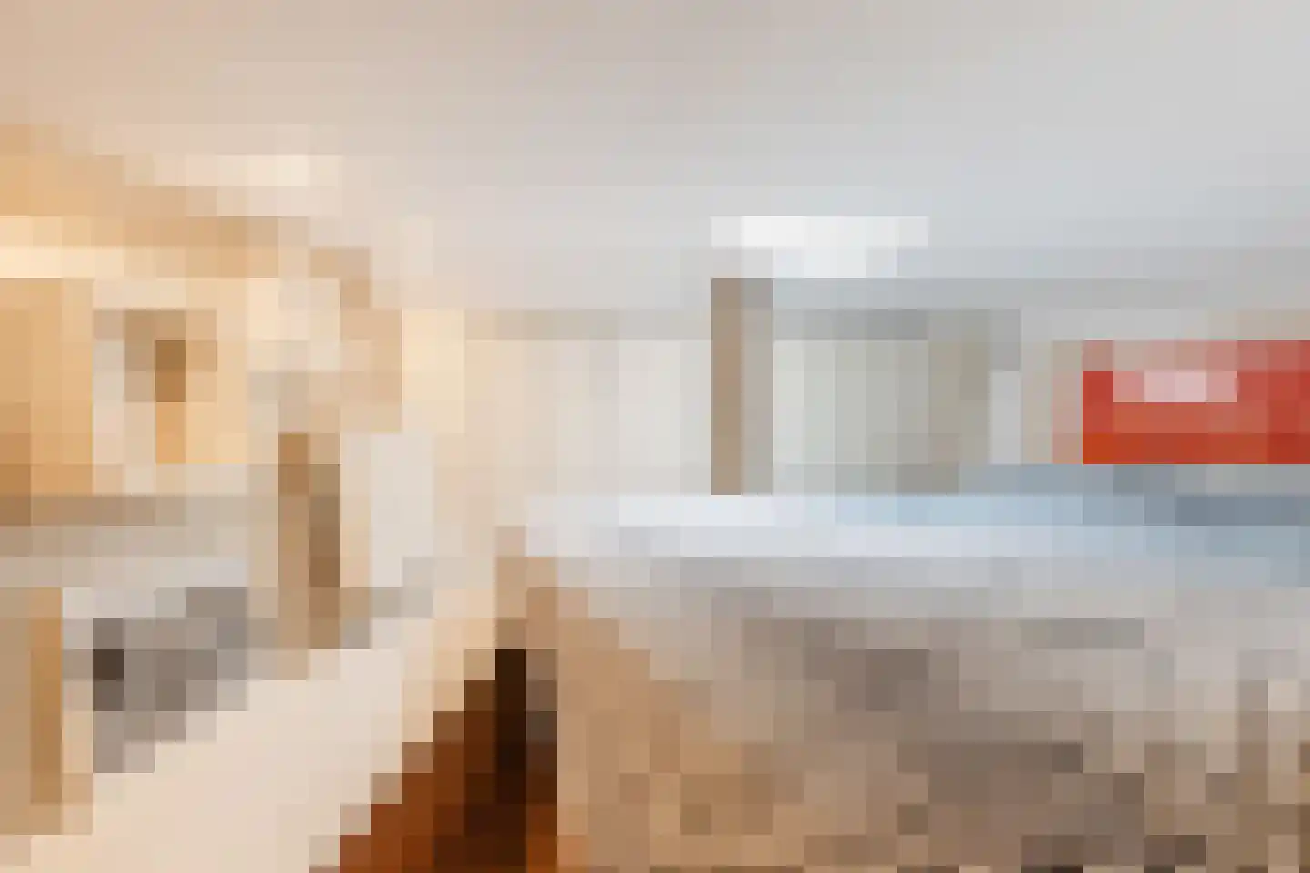 Spiekeroog 96 Zaandam thumbnail 19