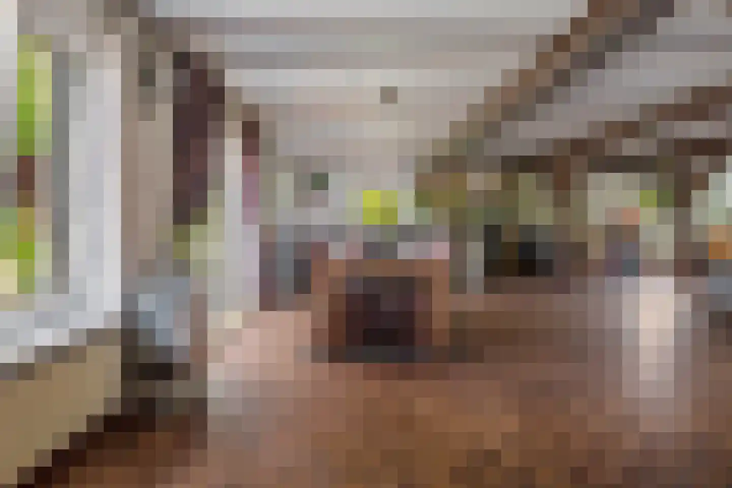 Spiekestraat 23 Zegge thumbnail 11