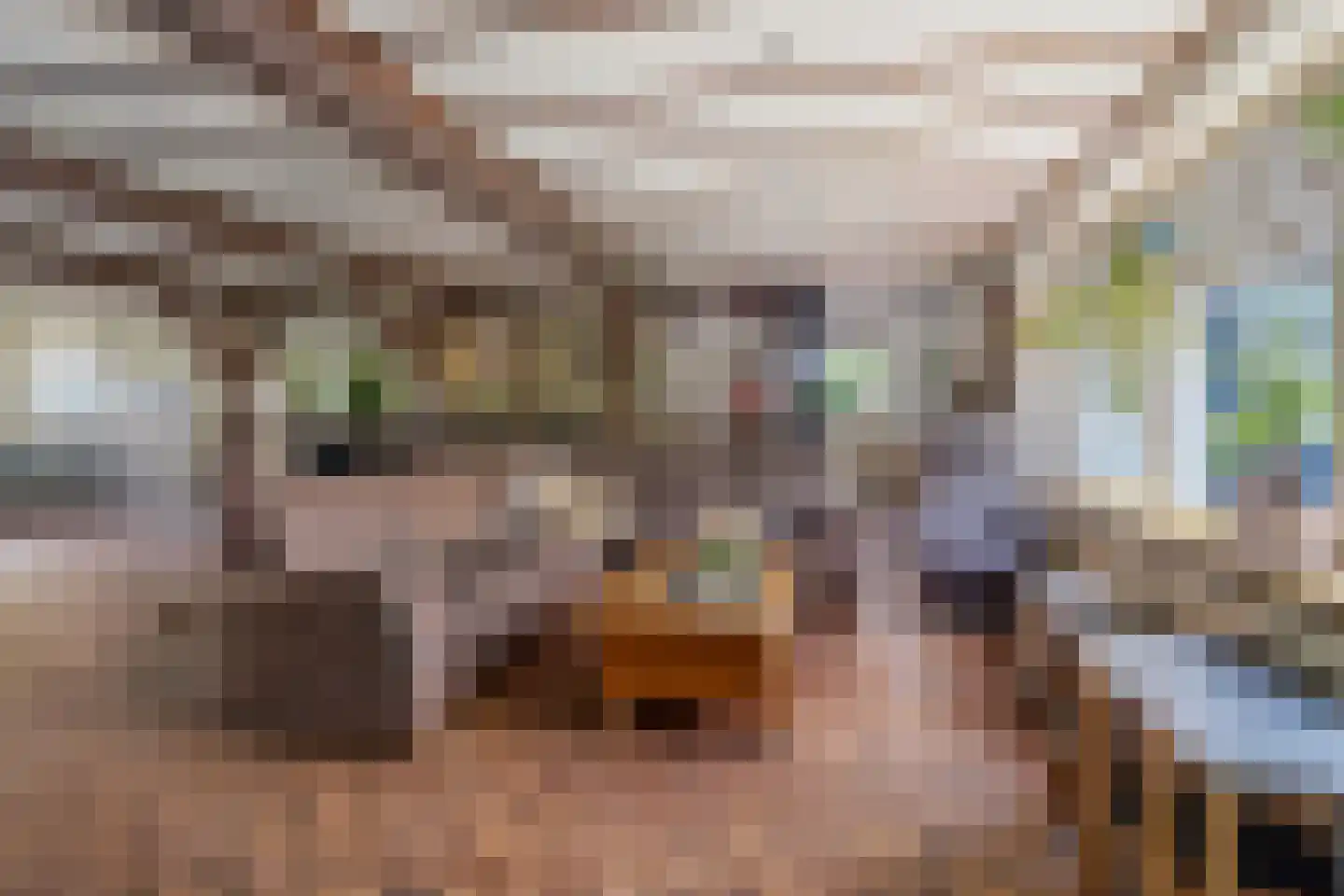 Spiekestraat 23 Zegge thumbnail 12