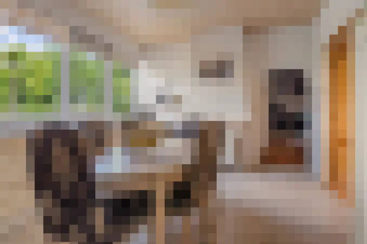 Spiekestraat 23 Zegge thumbnail 14