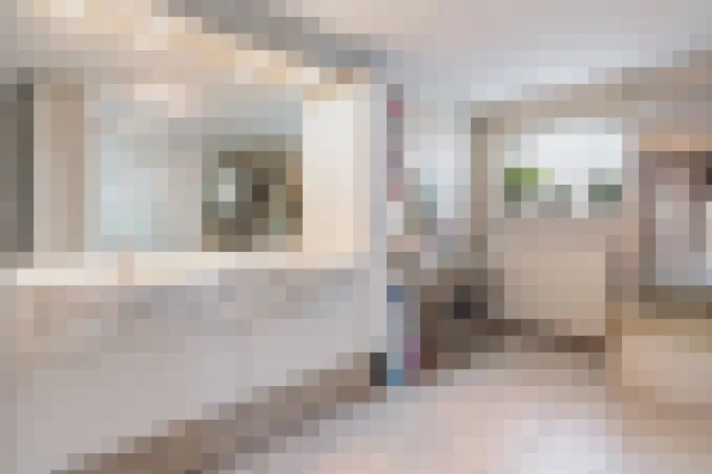 Spiekestraat 23 Zegge thumbnail 22