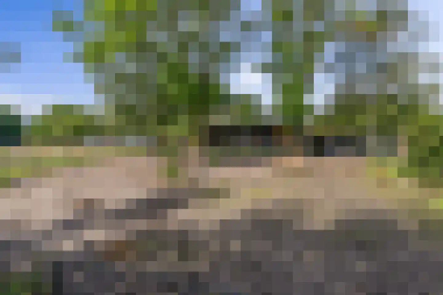 Spiekestraat 23 Zegge thumbnail 37