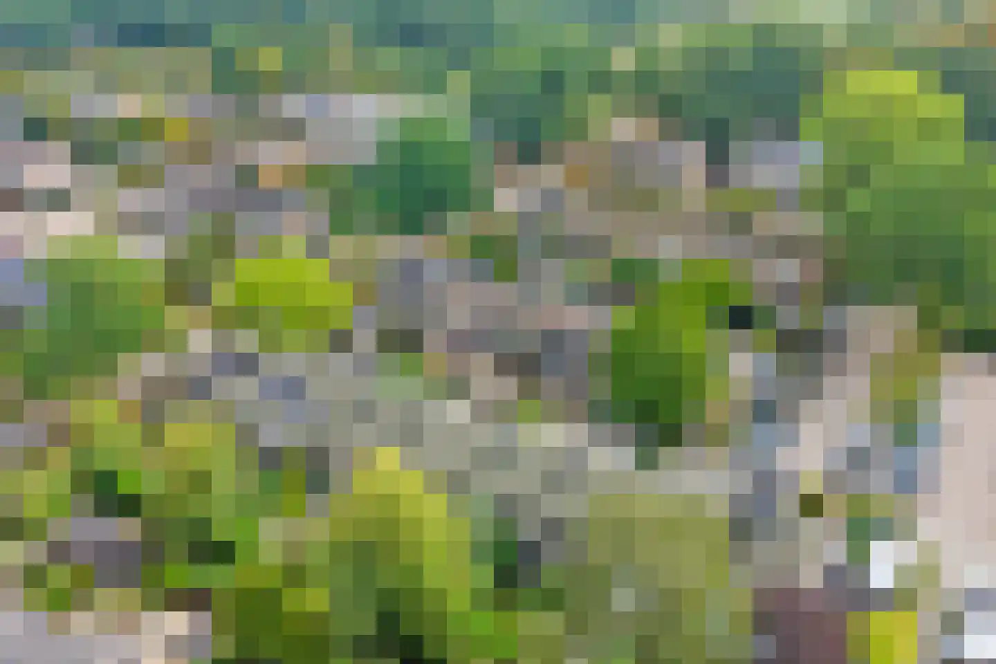 Spielehorst 31 Enschede thumbnail 35