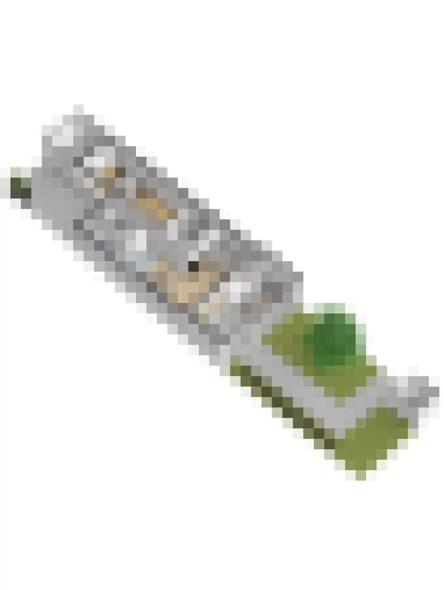 Spielehorst 31 Enschede thumbnail 43