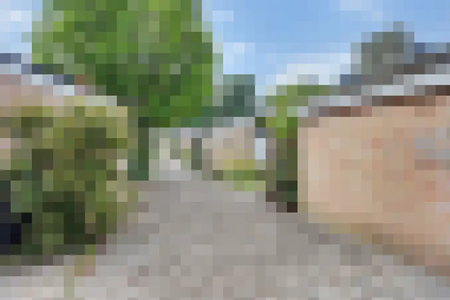 Spielehorst 31 Enschede thumbnail 5