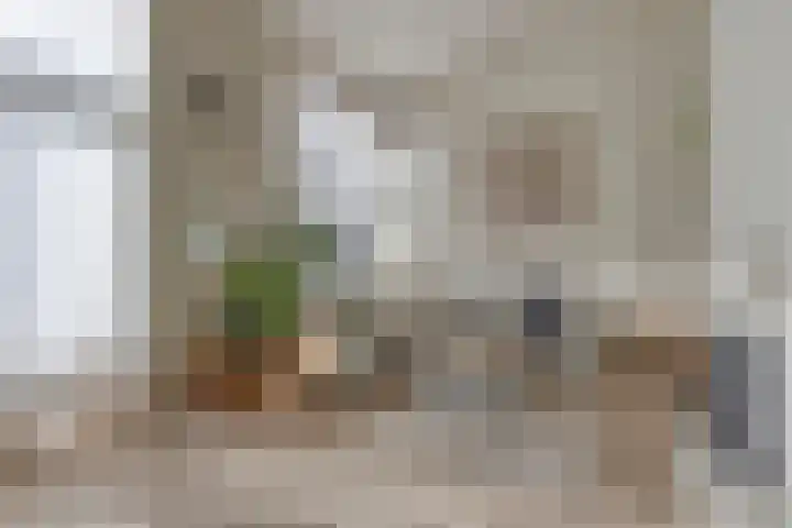 Spielehorst 32 Enschede thumbnail 10