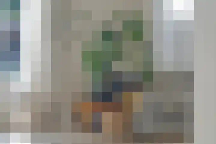 Spielehorst 32 Enschede thumbnail 11