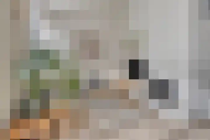 Spielehorst 32 Enschede thumbnail 12