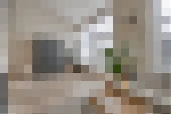 Spielehorst 32 Enschede thumbnail 14