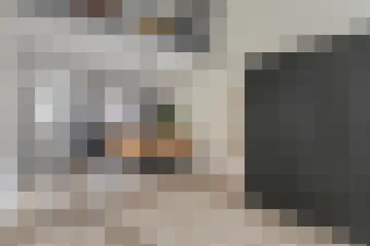 Spielehorst 32 Enschede thumbnail 15