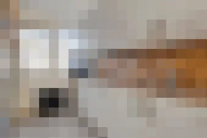 Spielehorst 32 Enschede thumbnail 20