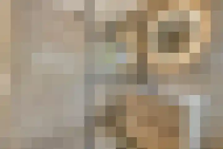 Spielehorst 32 Enschede thumbnail 25