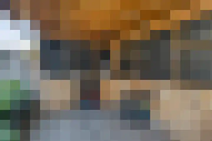 Spielehorst 32 Enschede thumbnail 39